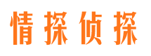 青河商务调查